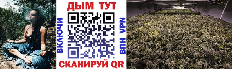 Бошки Шишки THC 21%  Оханск 